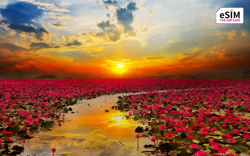 hồ Talay Bua Daeng